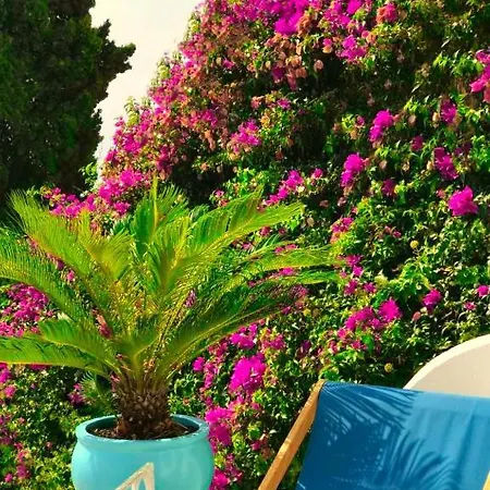 Les Lilas Aparthotel *