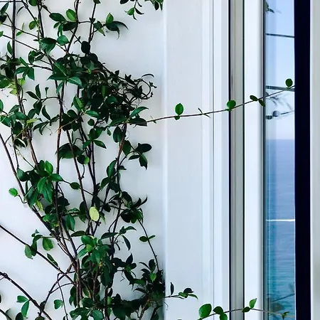 Les Lilas Aparthotel *